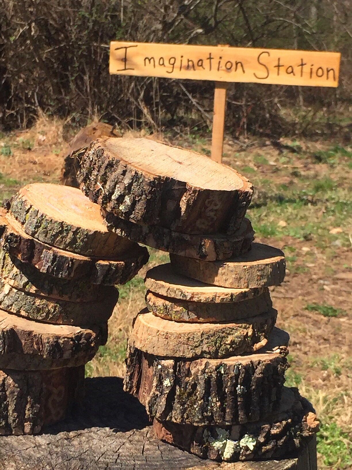 Blue Ridge Center nature play area